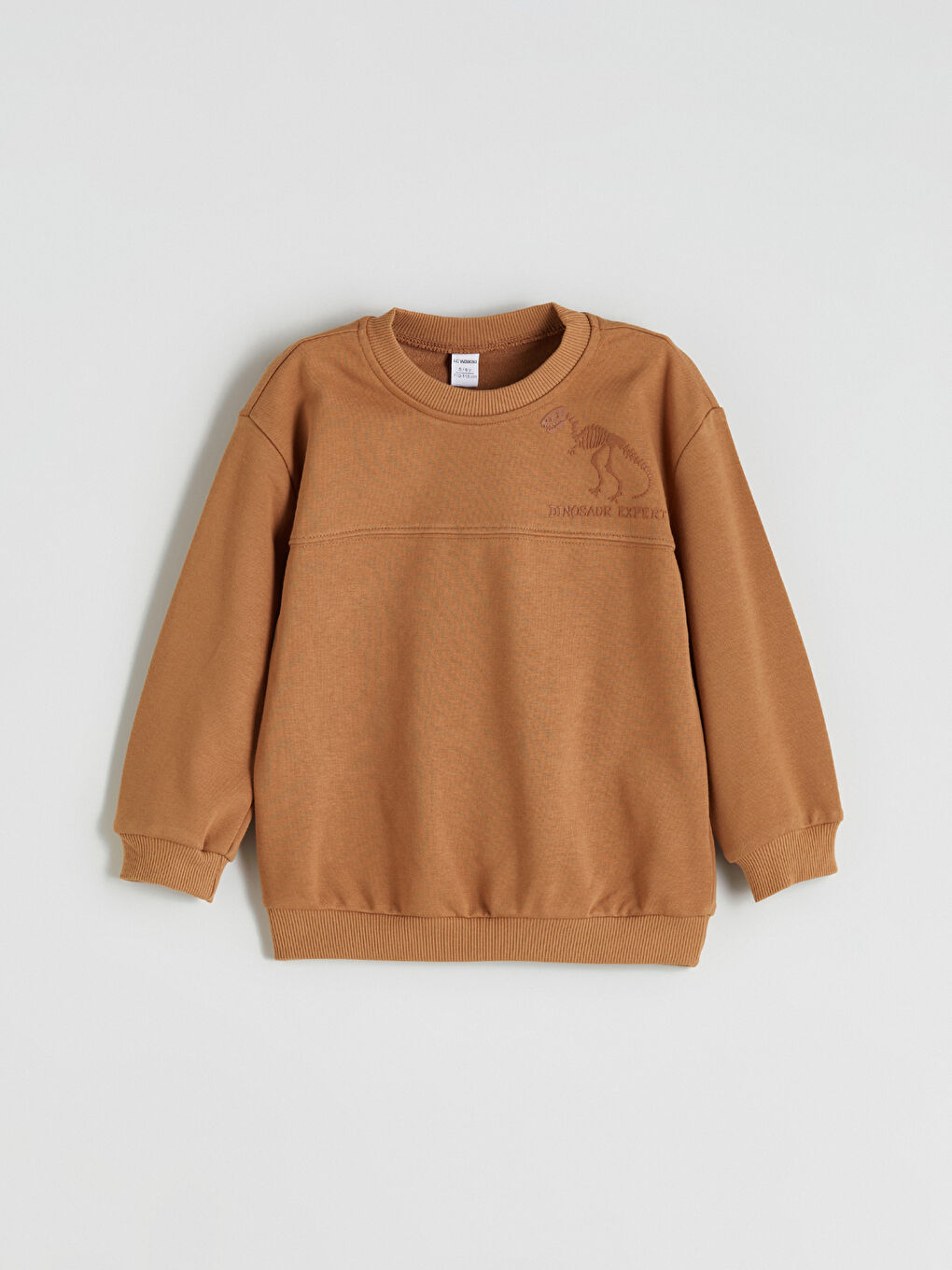 l_20252-w5kn88z1-gq6_a.jpg LCW Kids Brown Crew Neck Dinosaur Print Sweatshirt for Boys