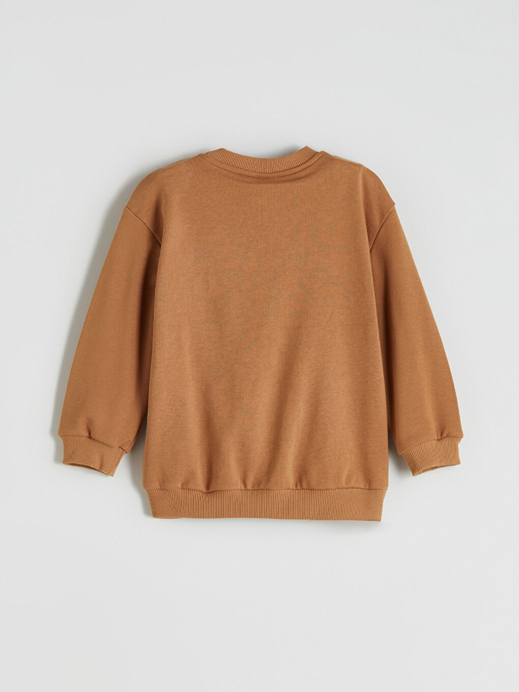 l_20252-w5kn88z1-gq6_a1.jpg LCW Kids Brown Crew Neck Dinosaur Print Sweatshirt for Boys