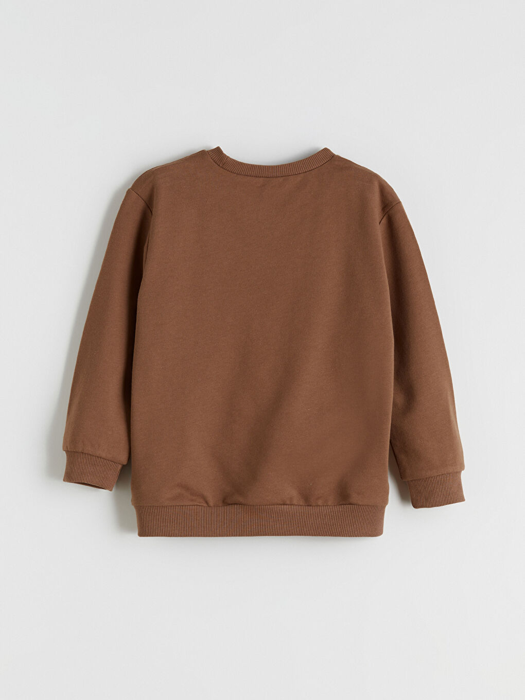 l_20252-w5mn04z1-jse_a1.jpg LCW Kids Brown Crew Neck Printed Boys Sweatshirt