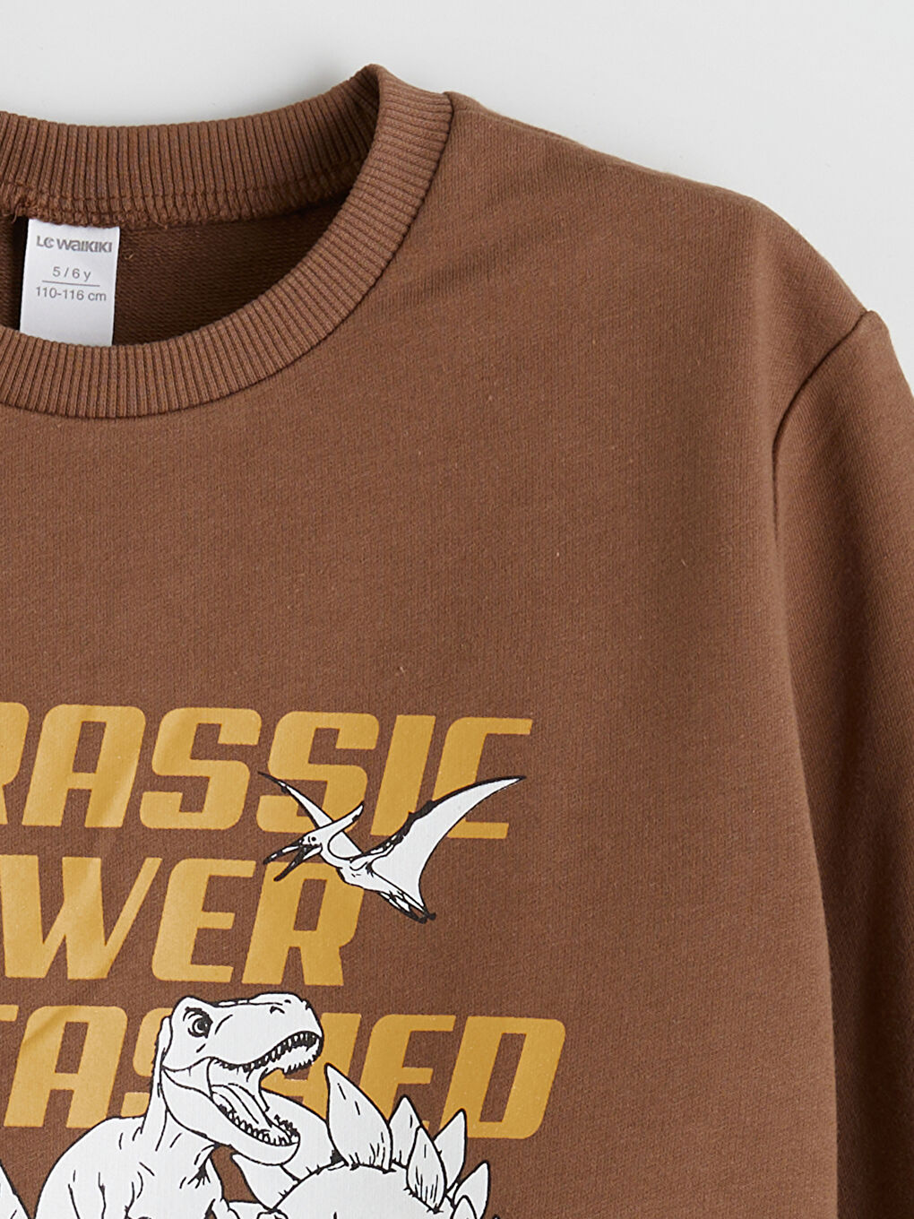 l_20252-w5mn04z1-jse_a2.jpg LCW Kids Brown Crew Neck Printed Boys Sweatshirt