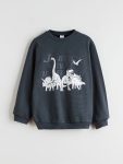 LCW Kids Anthracite Printed Crew Neck Sweatshirt for Boys