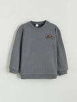 LCW Kids Gray Crew Neck Embroidered Boys Sweatshirt