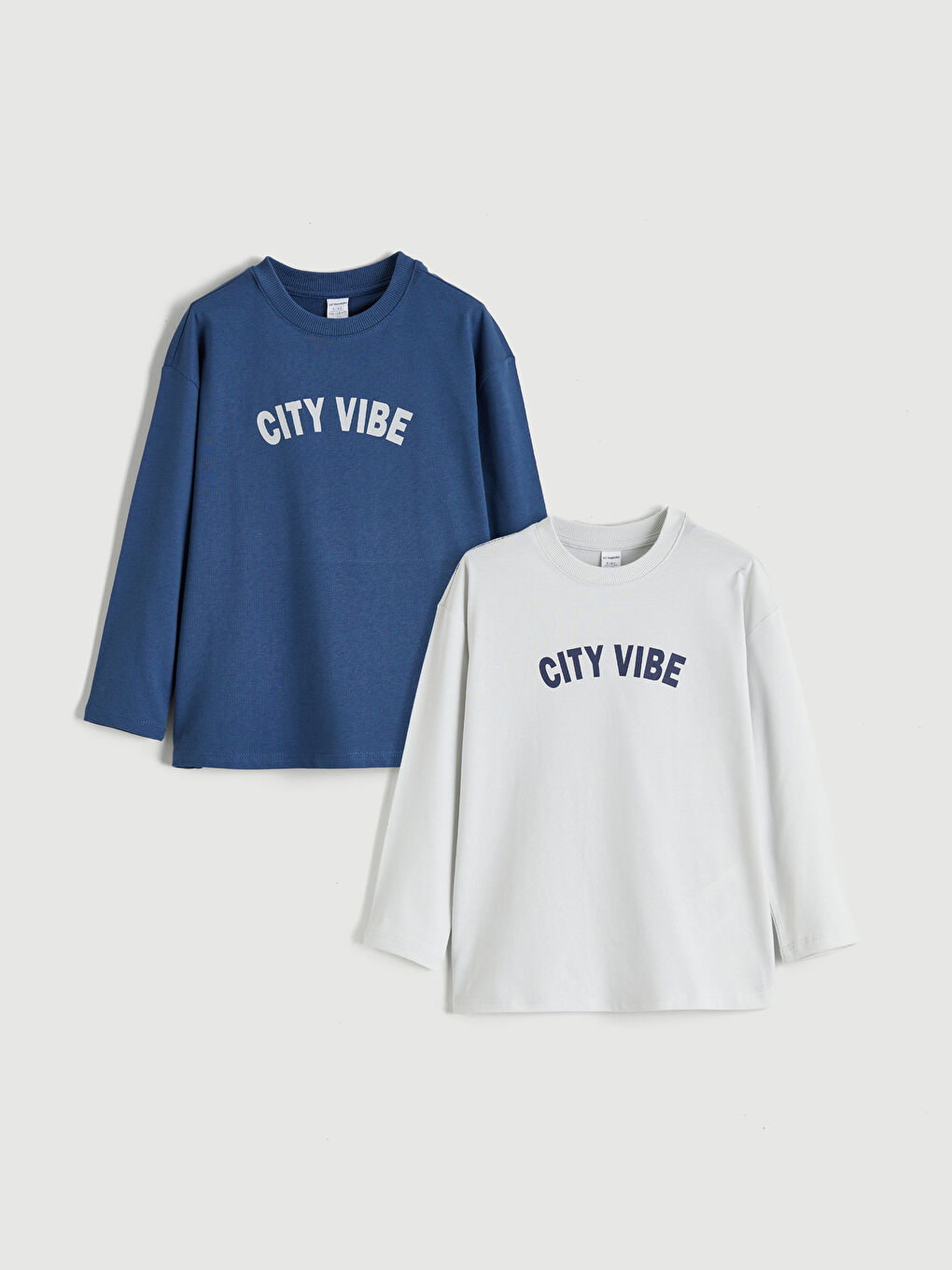 l_20252-w5nv12z1-kxt_a.jpg LCW Kids Gray Printed Crew Neck T-Shirt Set for Boys