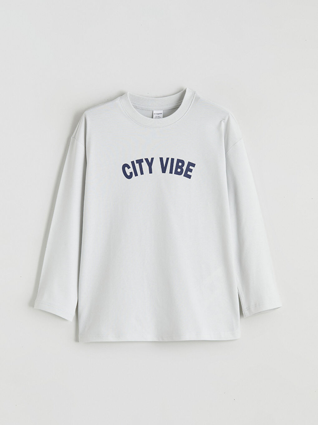 l_20252-w5nv12z1-kxt_a1.jpg LCW Kids Gray Printed Crew Neck T-Shirt Set for Boys