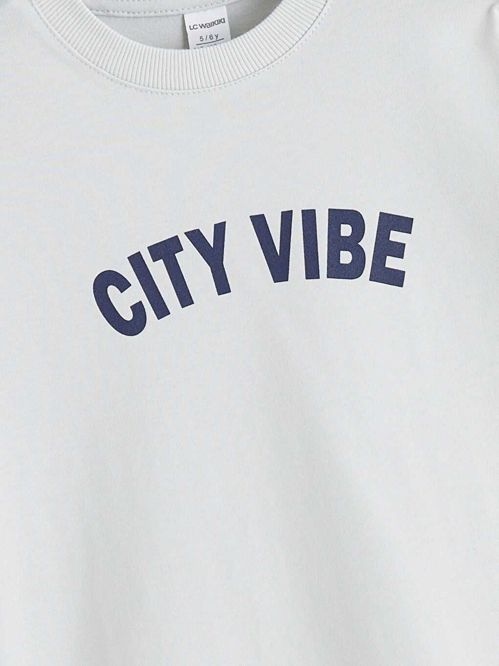 l_20252-w5nv12z1-kxt_a2.jpg LCW Kids Gray Printed Crew Neck T-Shirt Set for Boys