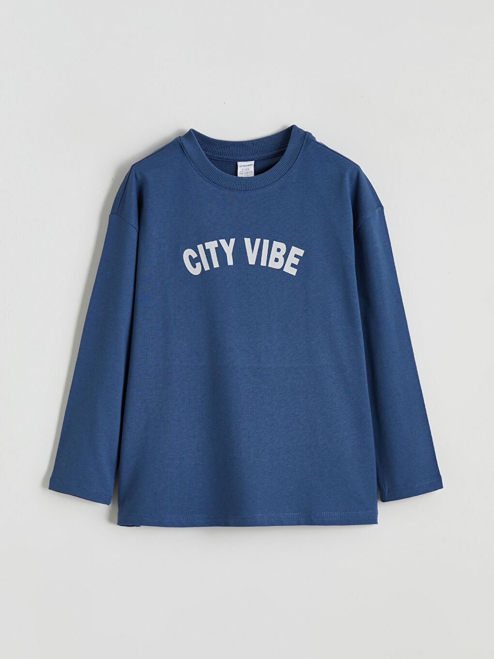 l_20252-w5nv12z1-kxt_a4.jpg LCW Kids Gray Printed Crew Neck T-Shirt Set for Boys