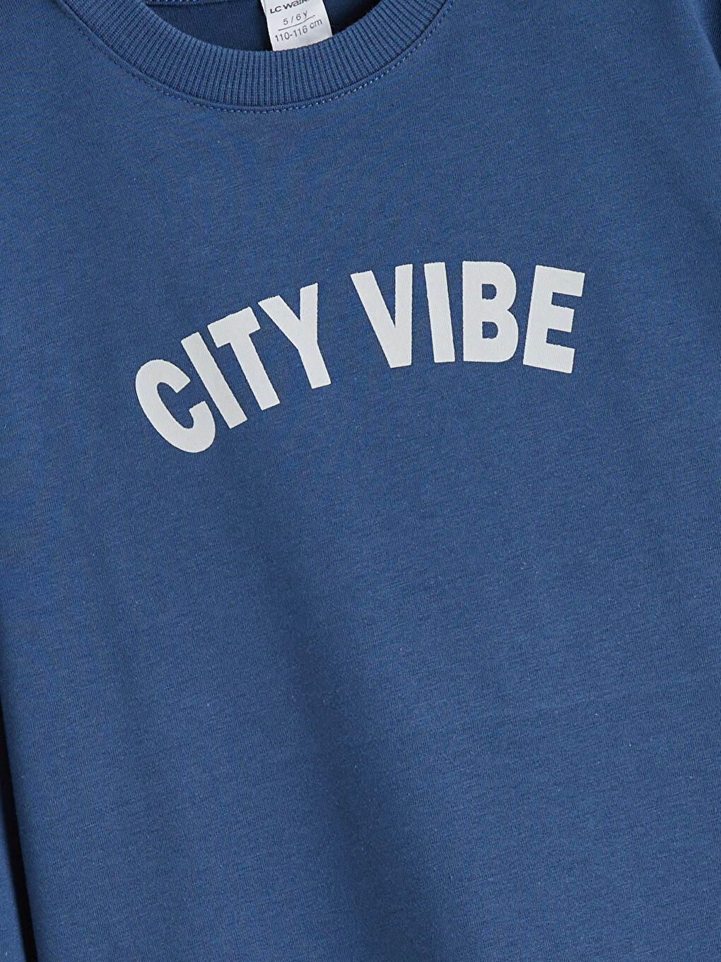 l_20252-w5nv12z1-kxt_a5.jpg LCW Kids Gray Printed Crew Neck T-Shirt Set for Boys